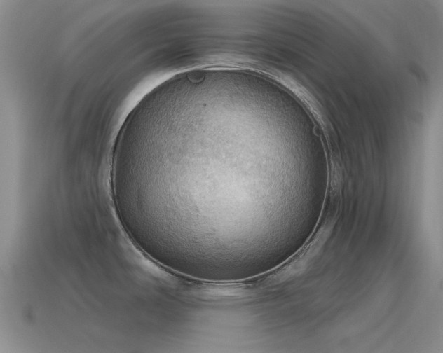 X0000115491486200911061256
