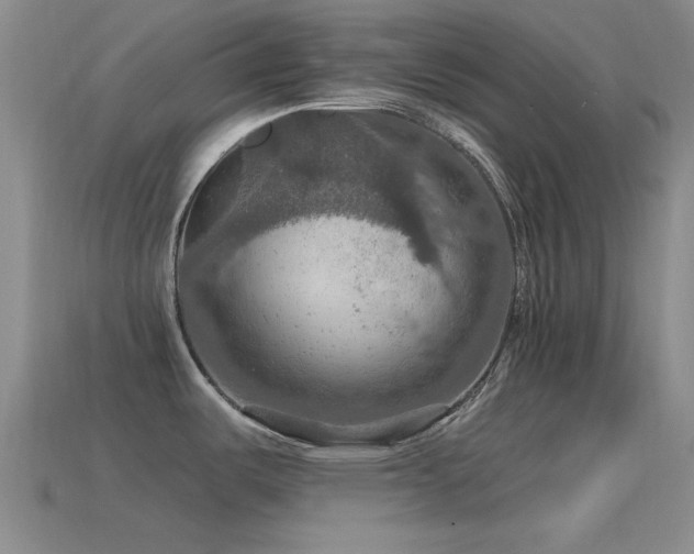 X0000115491487200911061256
