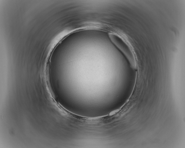 X0000115491488200911061256
