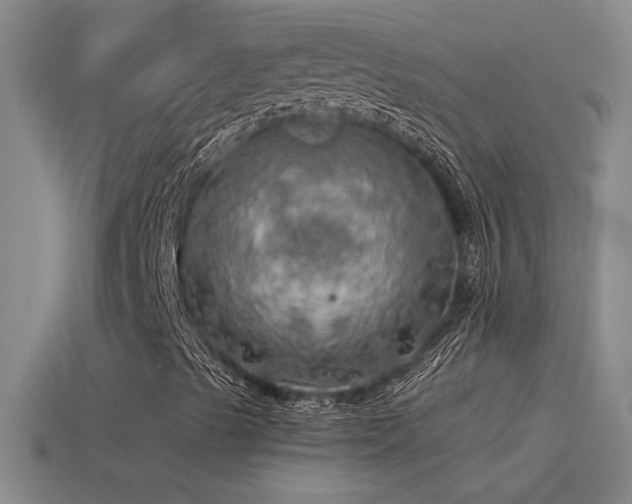 X0000115491489200911061256