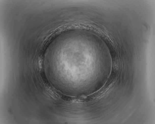X0000115491490200911061256