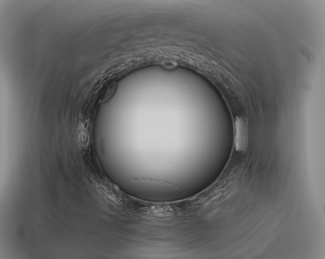 X0000115491491200911061256
