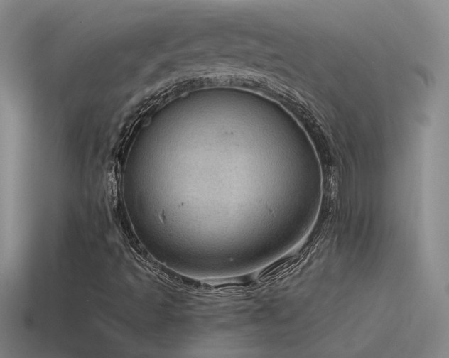 X0000115491493200911061256