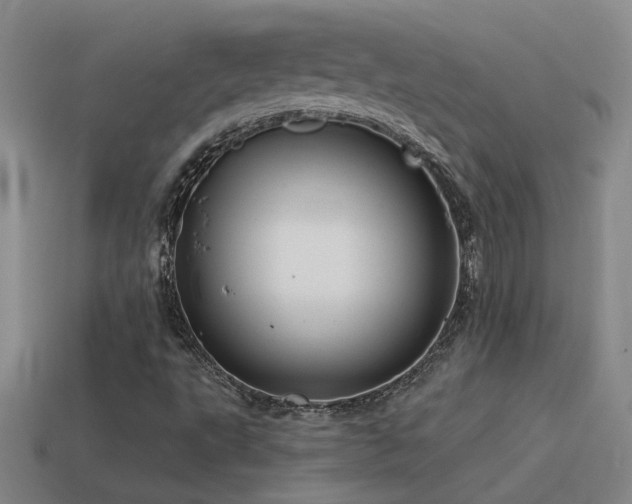 X0000115491495200911061256