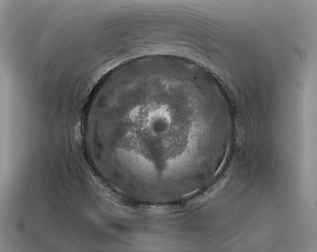 X0000115491497200911061256