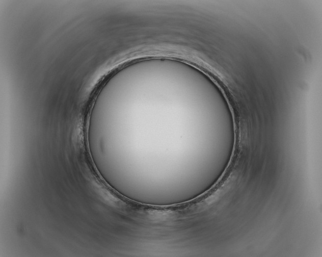 X0000115491498200911061256