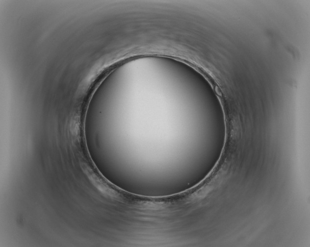 X0000115491499200911061256