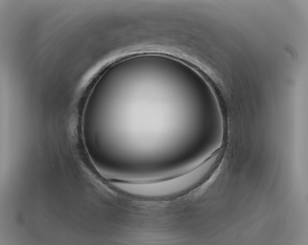 X0000115491502200911061256
