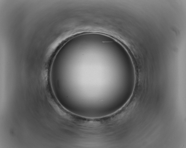 X0000115491503200911061256
