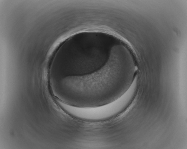 X0000115491506200911061256