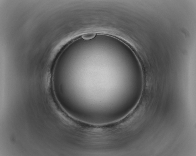 X0000115491507200911061256