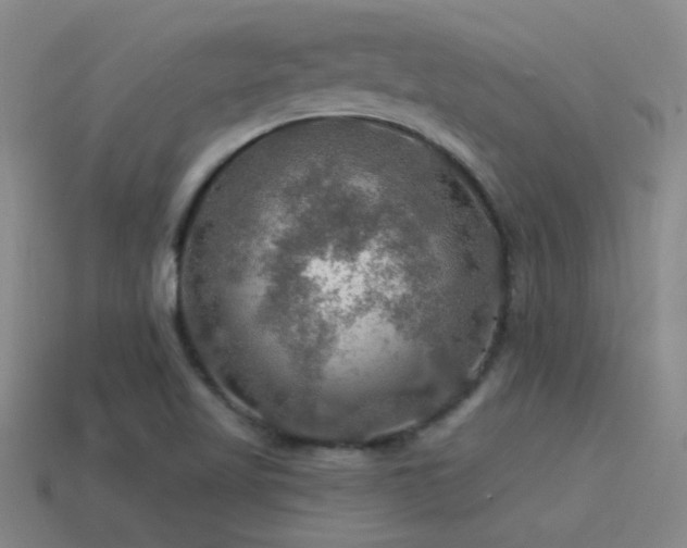 X0000115491509200911061256