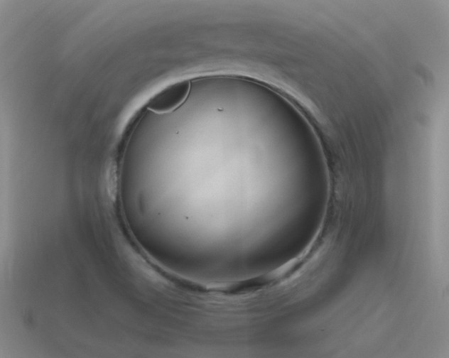 X0000115491510200911061256