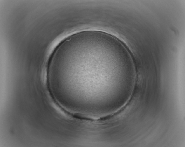 X0000115491511200911061256