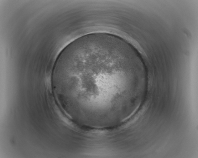 X0000115491513200911061256