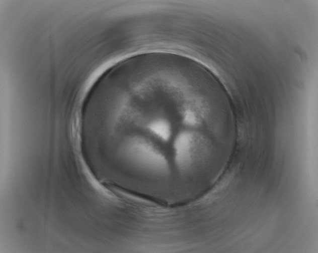 X0000115491515200911061256
