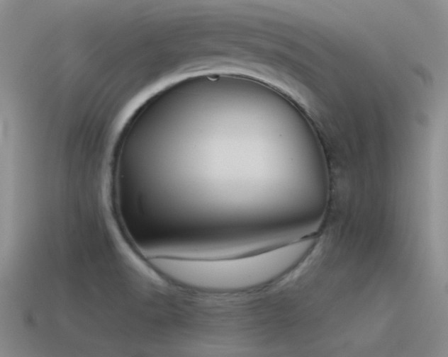 X0000115491518200911061256
