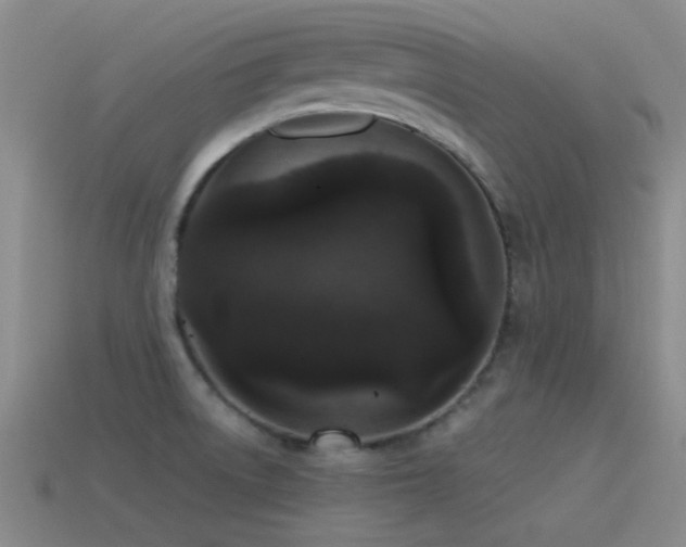 X0000115491522200911061256