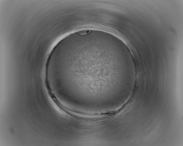 X0000115491523200911061256