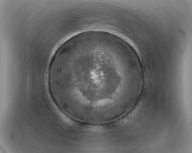 X0000115491525200911061256