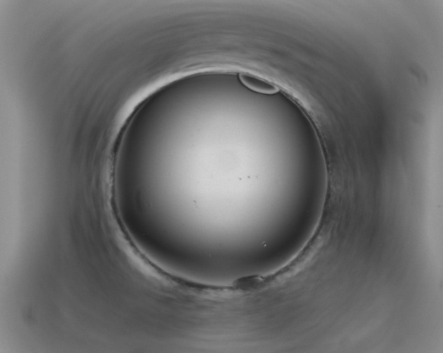 X0000115491526200911061256