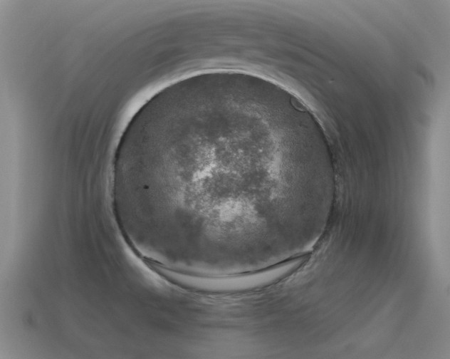 X0000115491527200911061256