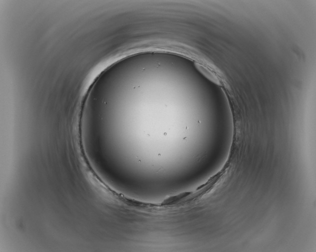 X0000115491530200911061256