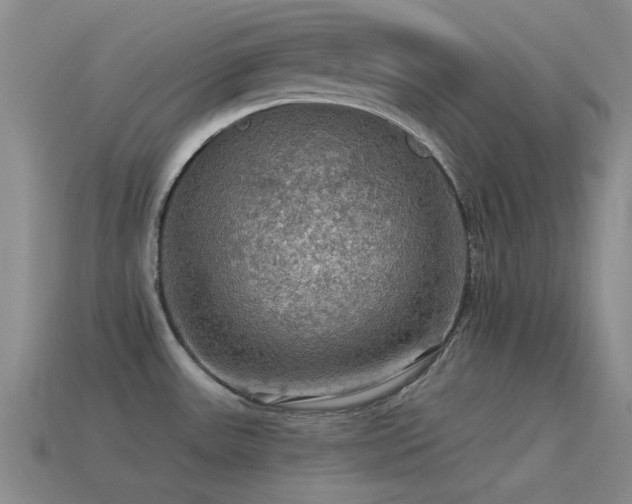 X0000115491531200911061256
