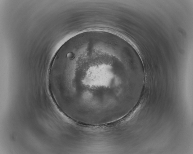 X0000115491533200911061256