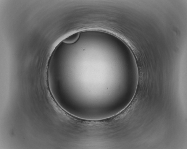 X0000115491534200911061256