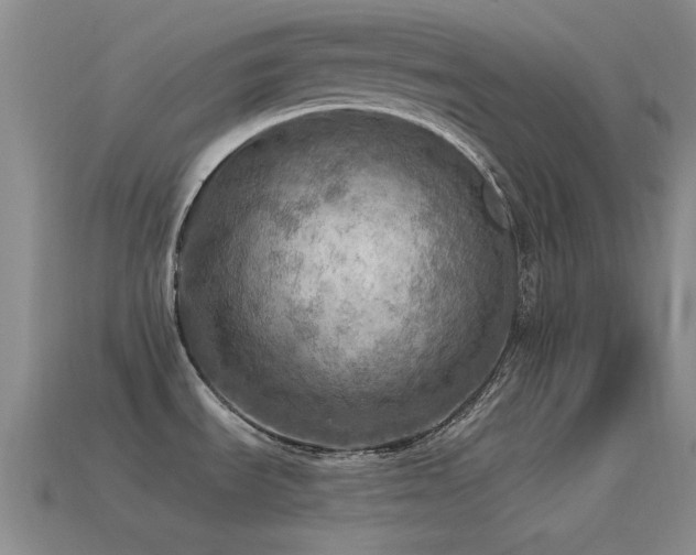 X0000115491535200911061256