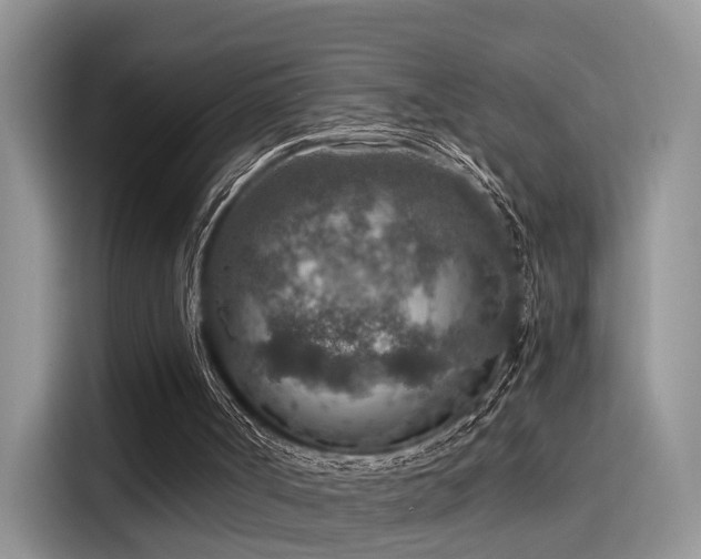 X0000115490002200911131245