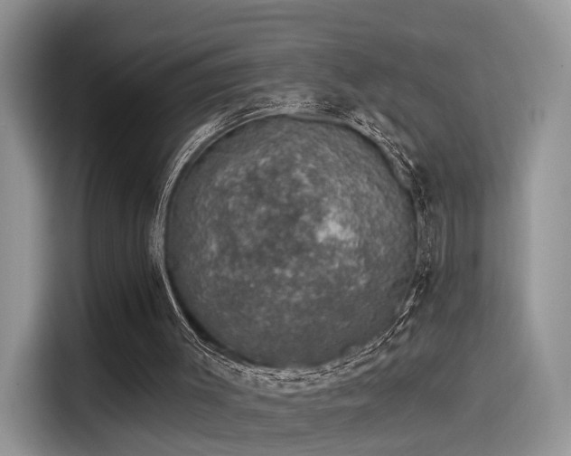 X0000115490003200911131245