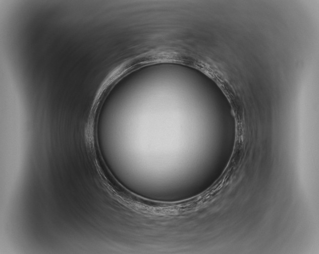 X0000115490004200911131245
