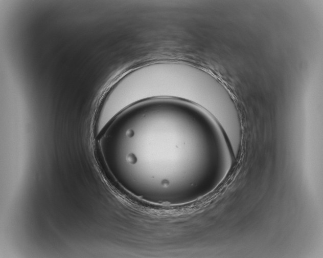 X0000115490005200911131245