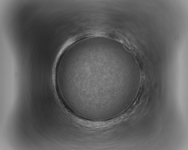X0000115490006200911131245