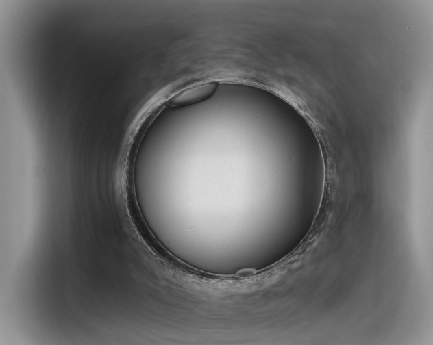 X0000115490007200911131245