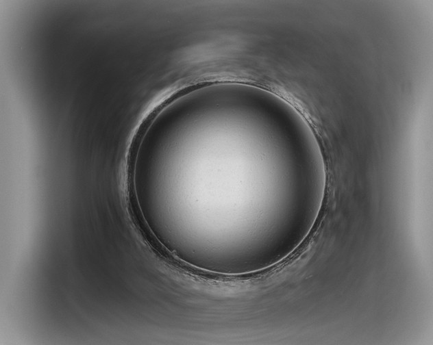 X0000115490008200911131245