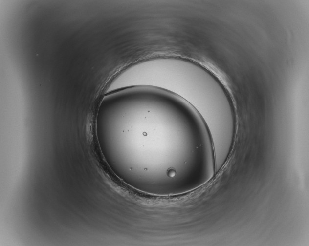 X0000115490009200911131245