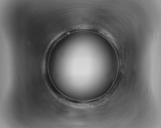 X0000115490012200911131245
