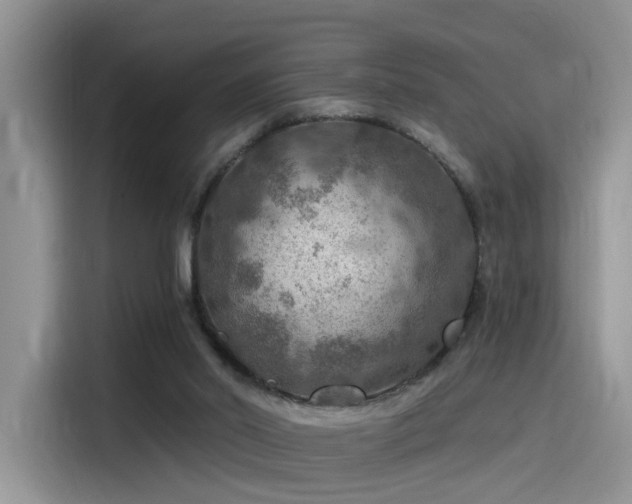 X0000115490014200911131244