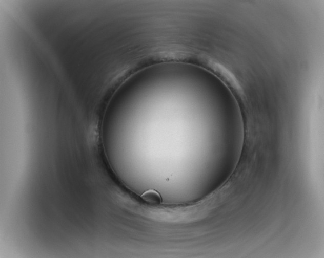 X0000115490017200911131244