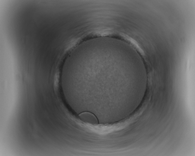 X0000115490018200911131244