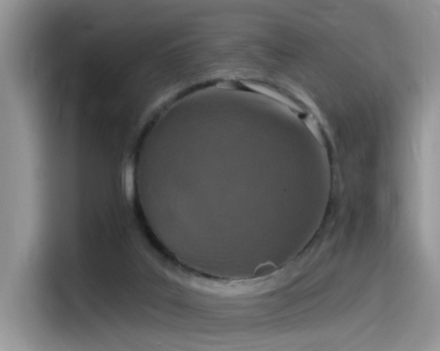 X0000115490019200911131244