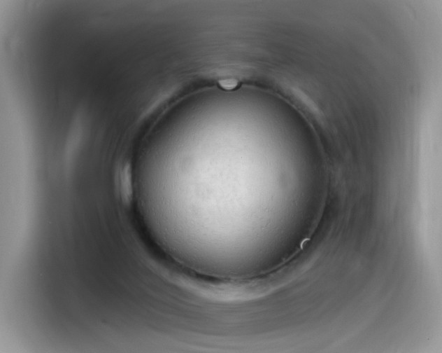 X0000115490020200911131244