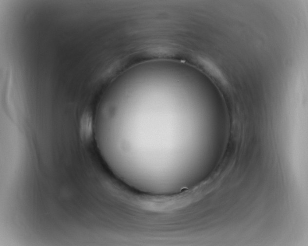 X0000115490021200911131244