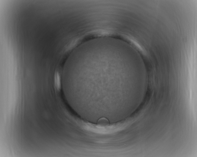 X0000115490022200911131244