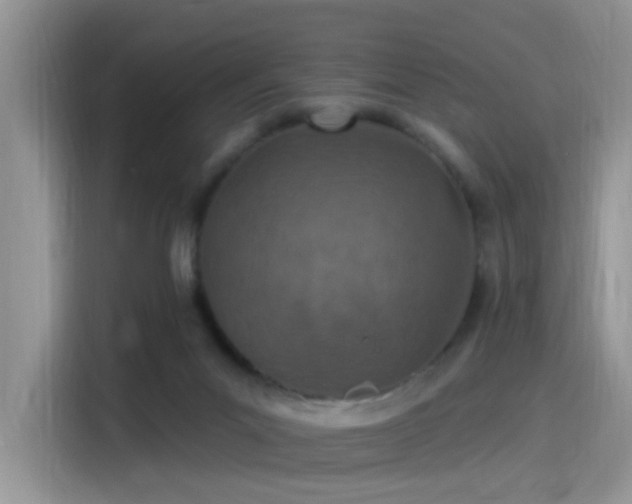 X0000115490023200911131244