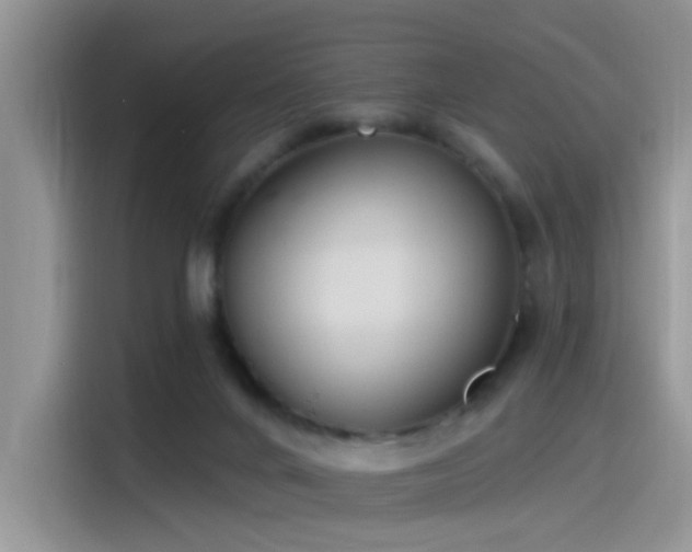 X0000115490024200911131244
