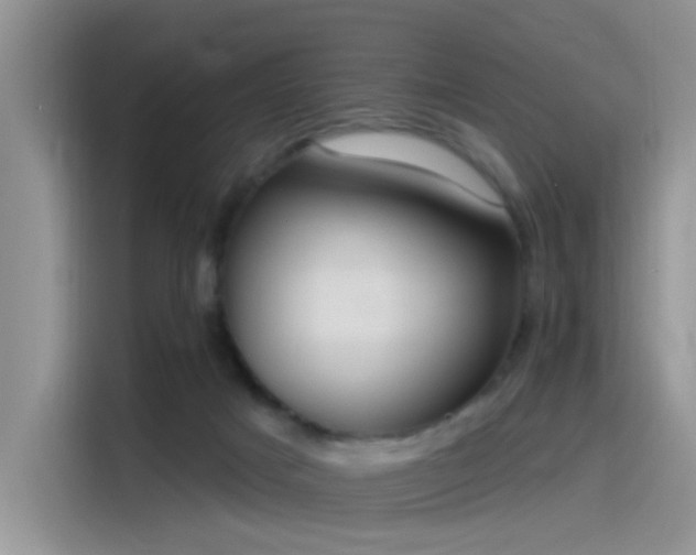 X0000115490025200911131244
